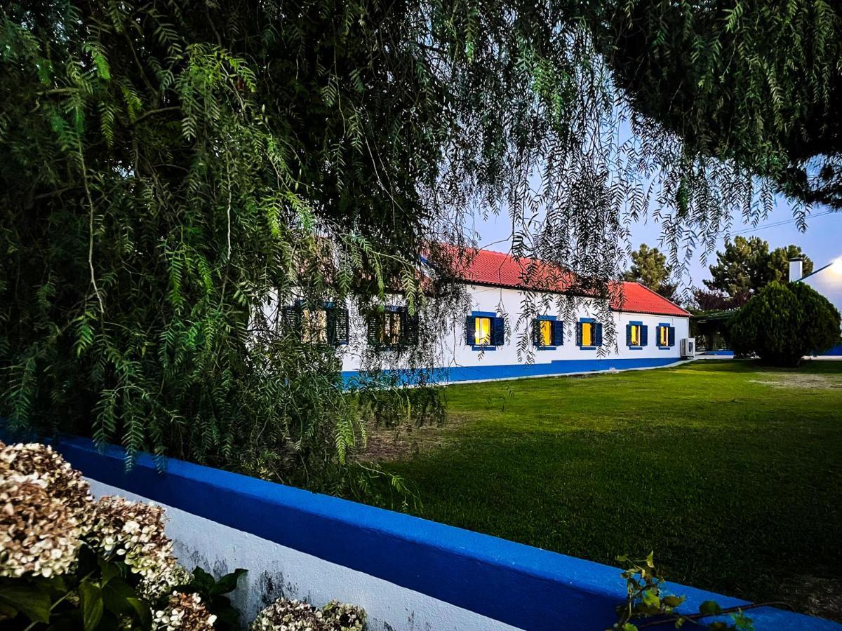 Quinta Do Cutato - Beatriz Guest House - Sotao Santo Estevao  Kültér fotó